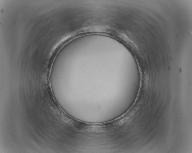 X0000081301166200701251710