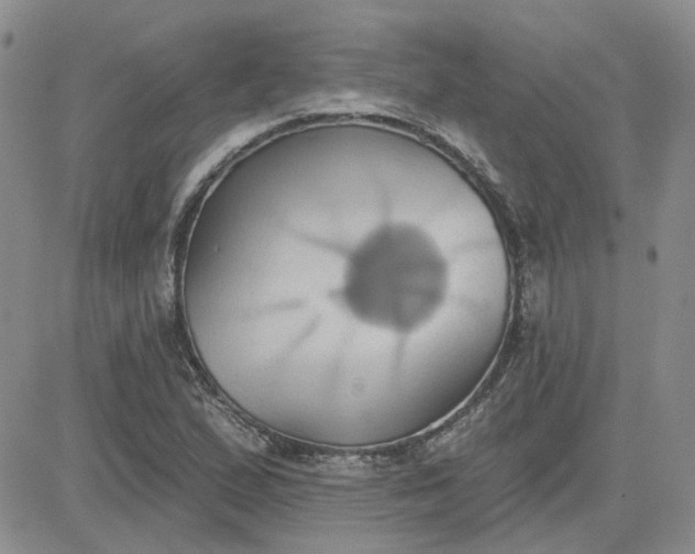 X0000081301167200701251710