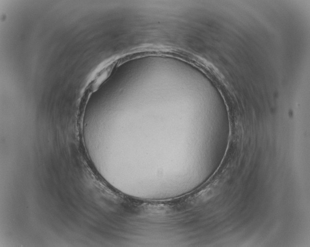 X0000081301168200701251710