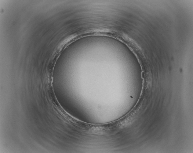 X0000081301169200701251710