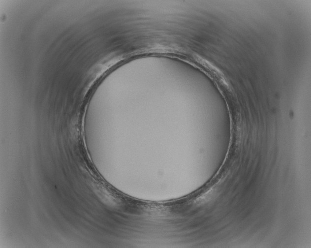 X0000081301170200701251710