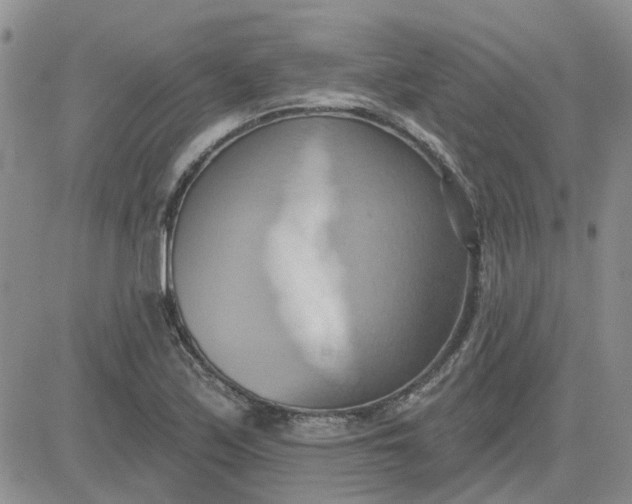 X0000081301171200701251710