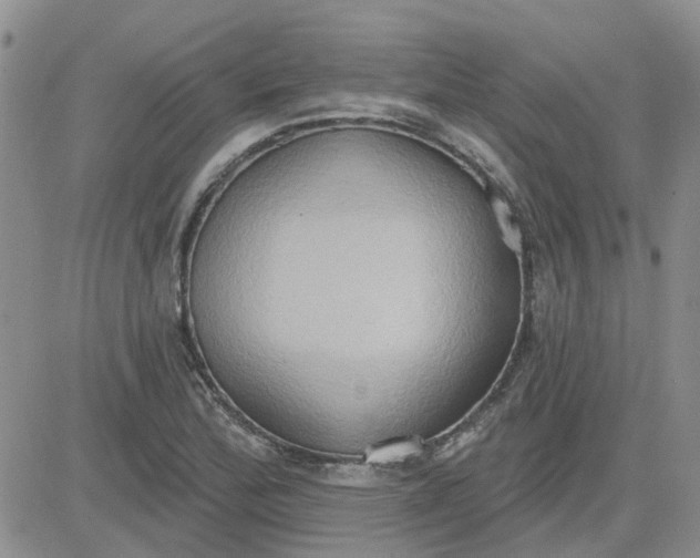 X0000081301172200701251710