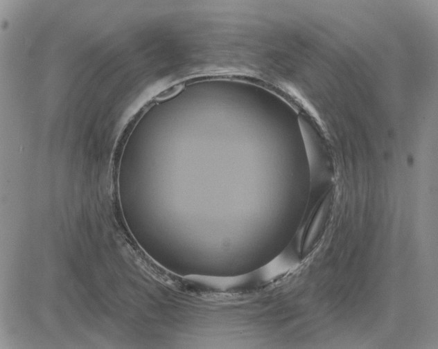 X0000081301173200701251710