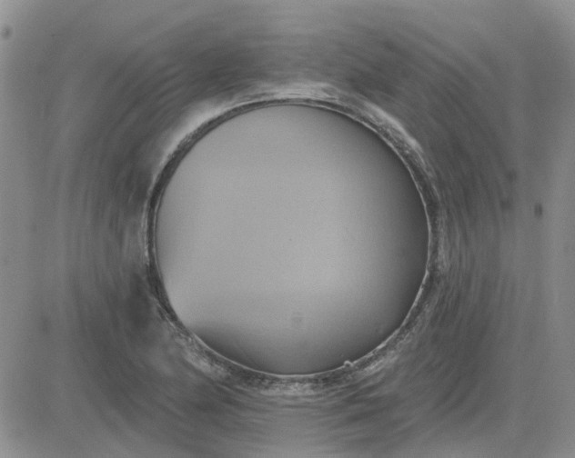 X0000081301174200701251710