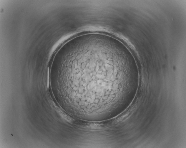 X0000081301175200701251710