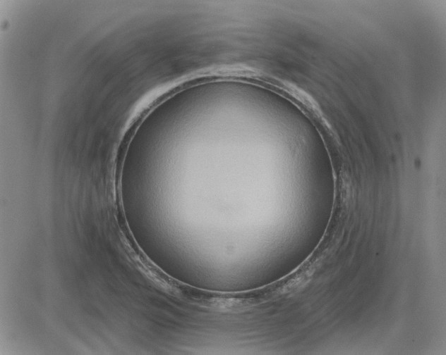 X0000081301176200701251710