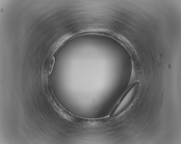 X0000081301177200701251710