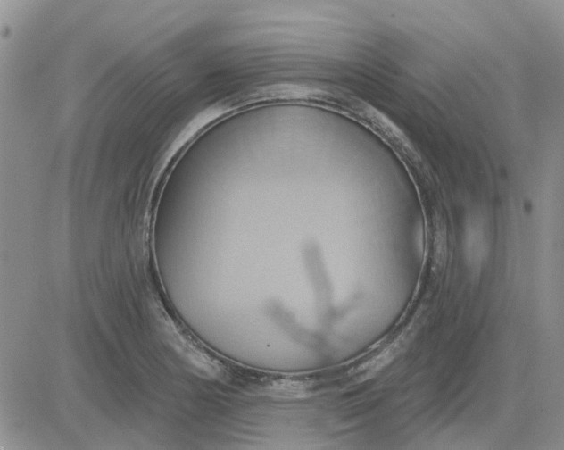 X0000081301178200701251710