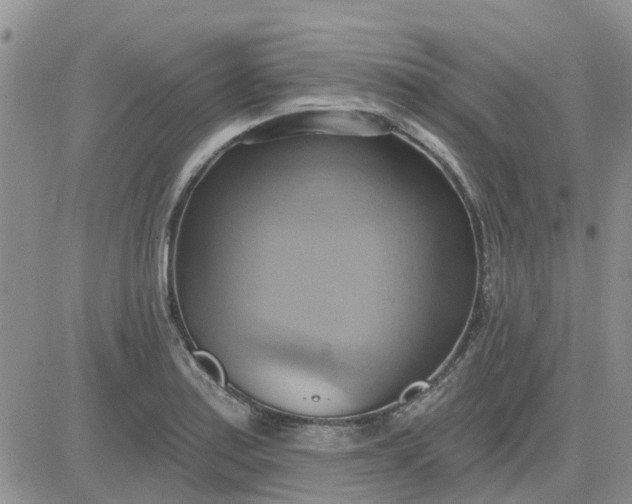 X0000081301179200701251710