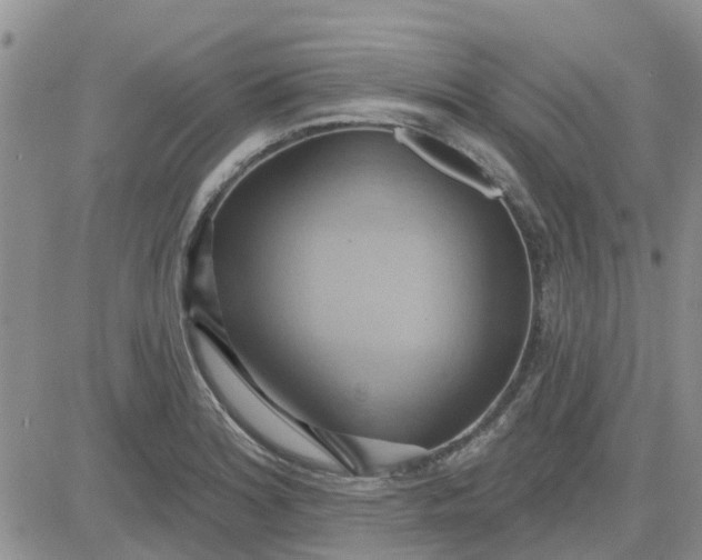 X0000081301180200701251710