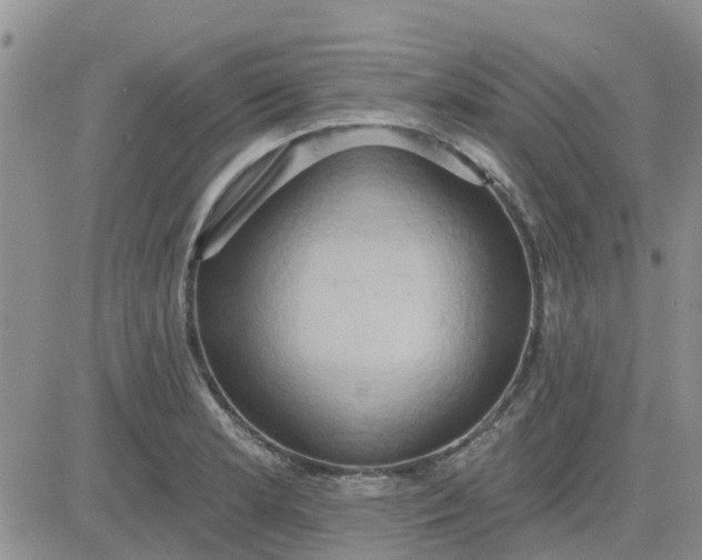 X0000081301181200701251710