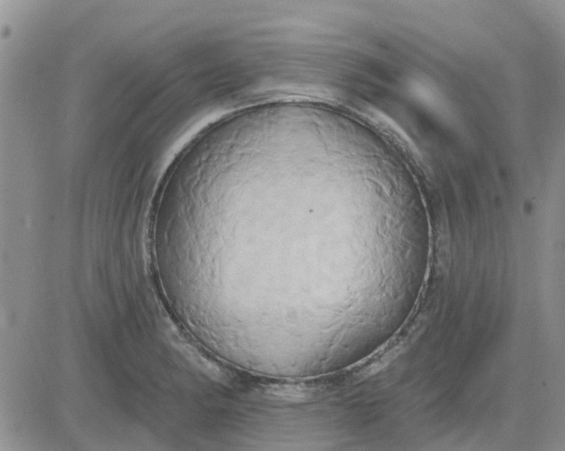 X0000081301182200701251710