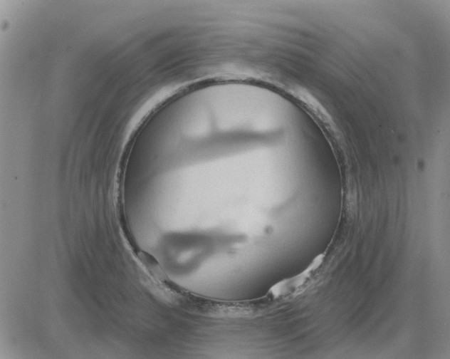 X0000081301183200701251710