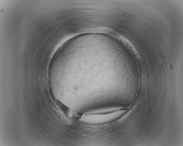 X0000081301184200701251710