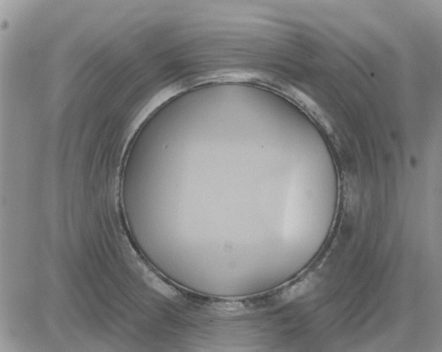 X0000081301186200701251710