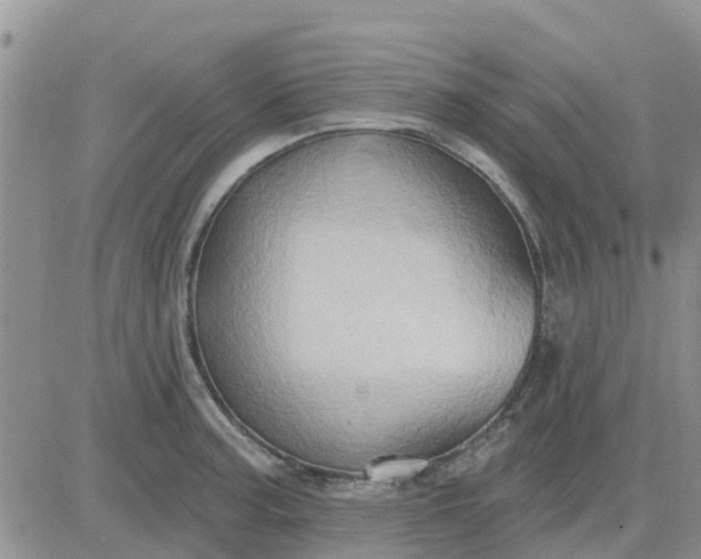 X0000081301187200701251710