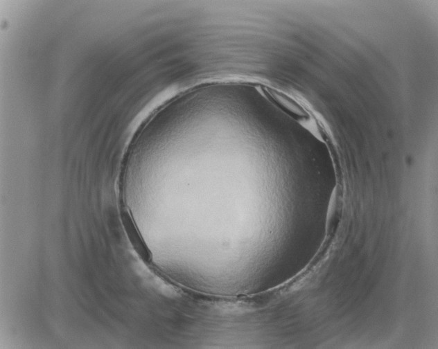 X0000081301189200701251710