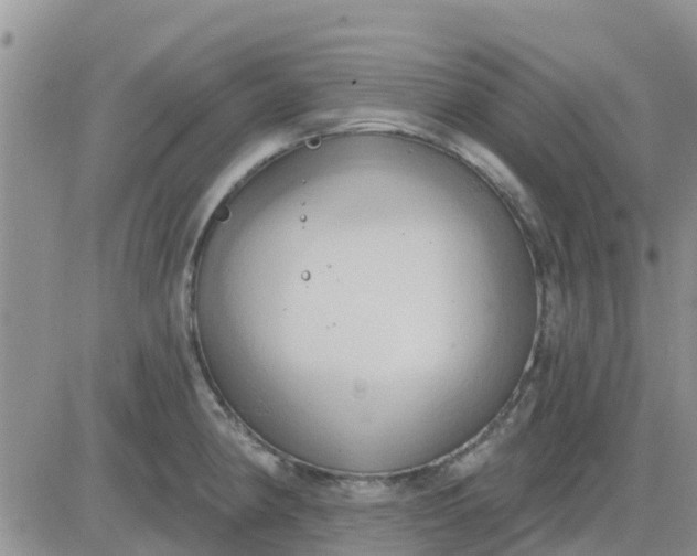 X0000081301190200701251710