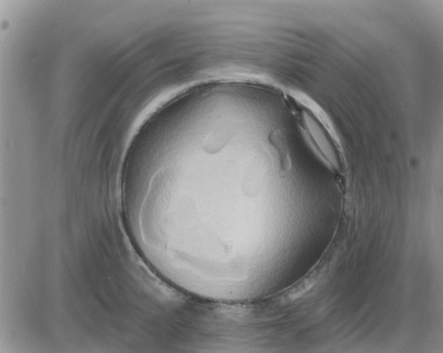 X0000081301191200701251710