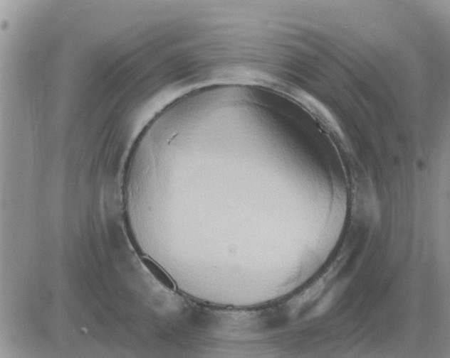 X0000081301192200701251710