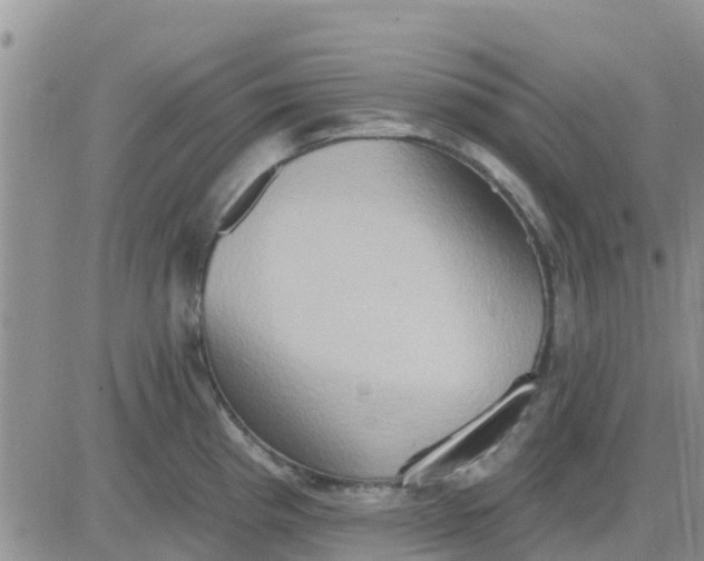 X0000081301193200701251710