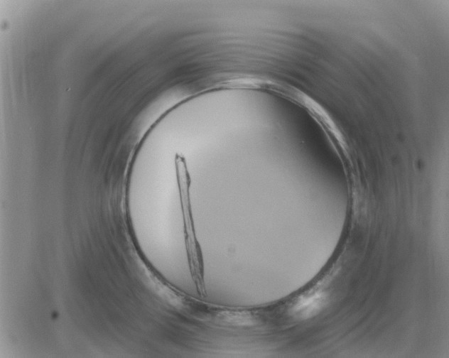 X0000081301194200701251710