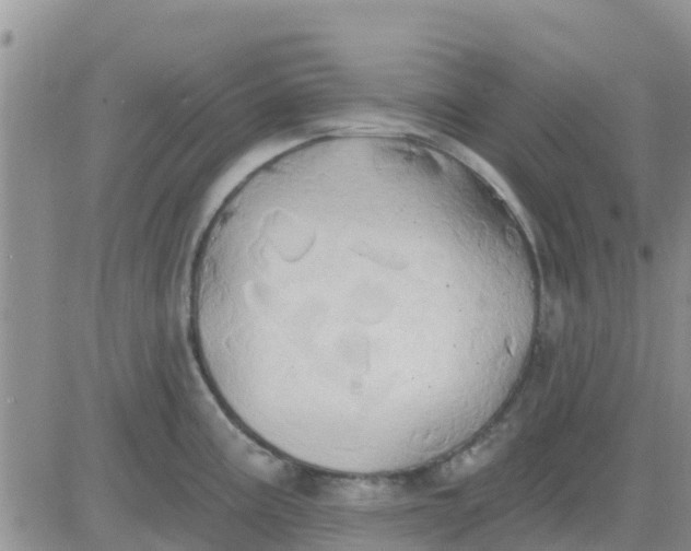 X0000081301195200701251710