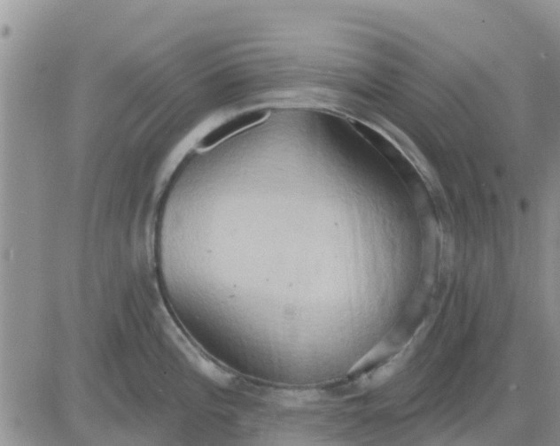 X0000081301196200701251710