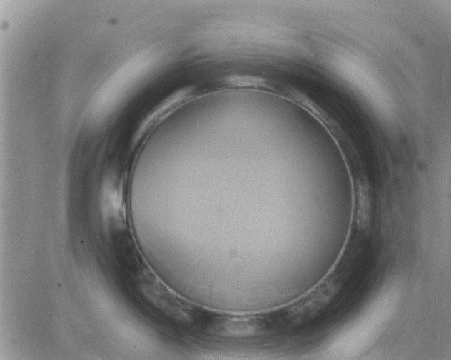 X0000081301198200701251710