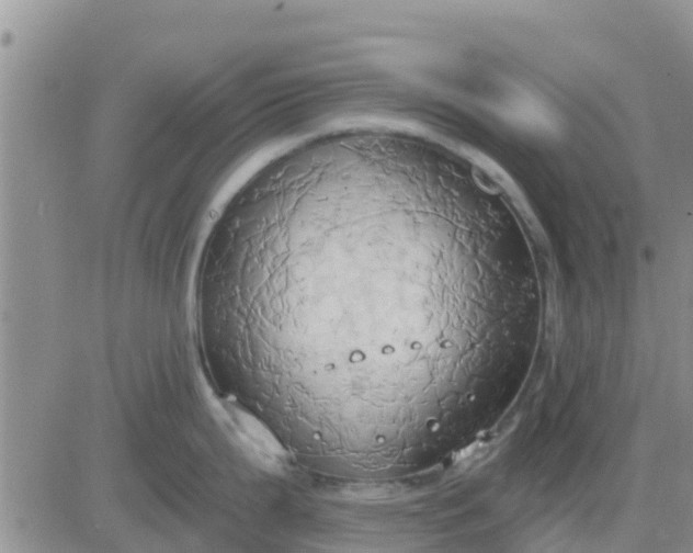 X0000081301199200701251710