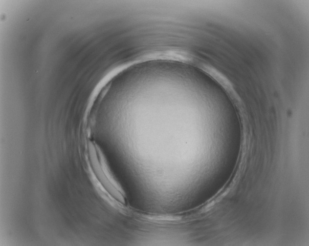 X0000081301200200701251710