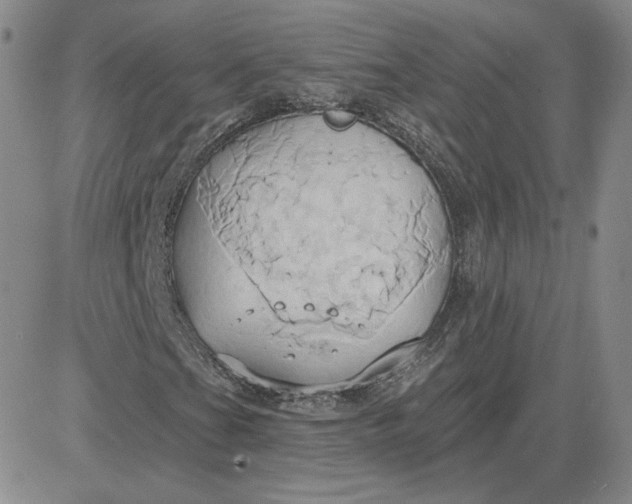 X0000081301201200701251709