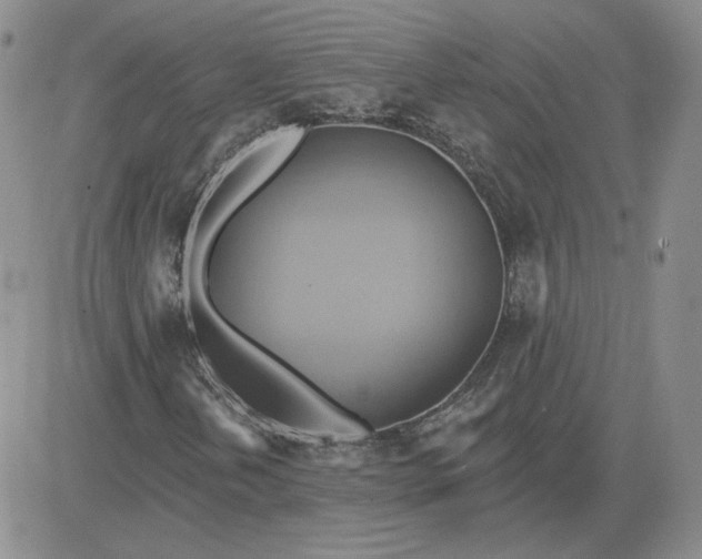 X0000081301202200701251709