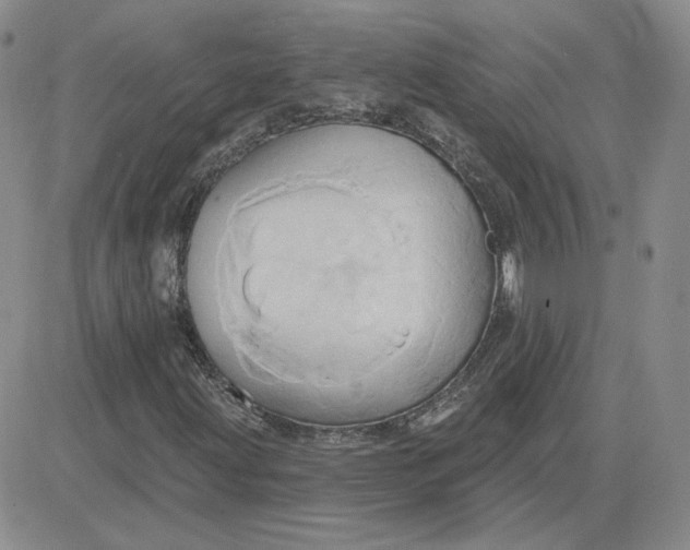 X0000081301203200701251709