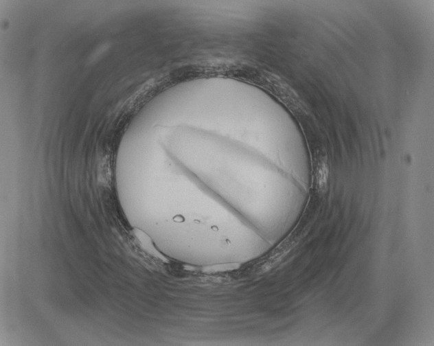 X0000081301204200701251709