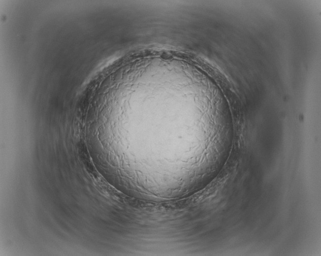 X0000081301207200701251709