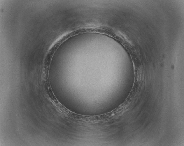 X0000081301208200701251709