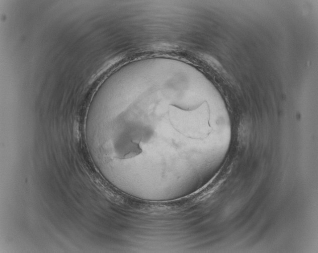 X0000081301209200701251709