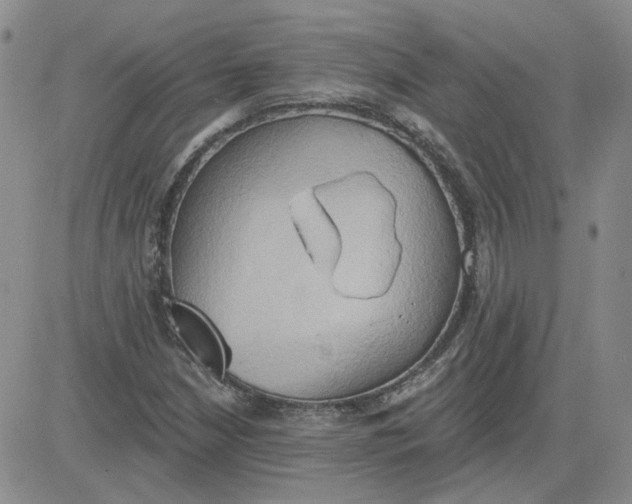 X0000081301210200701251709