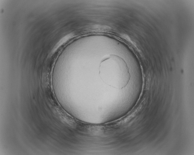 X0000081301211200701251709