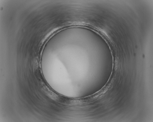 X0000081301212200701251709