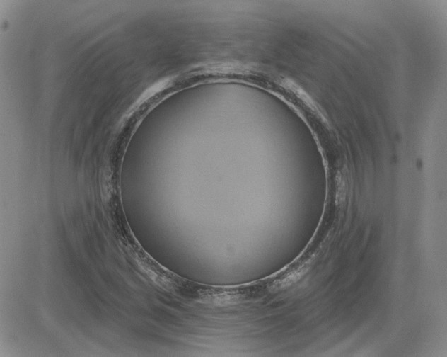 X0000081301213200701251709