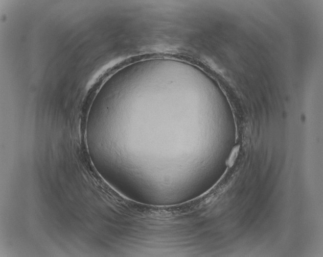 X0000081301214200701251709