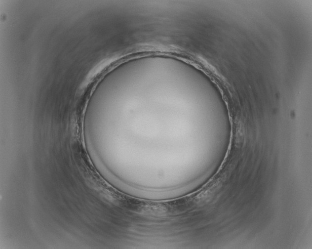 X0000081301215200701251709