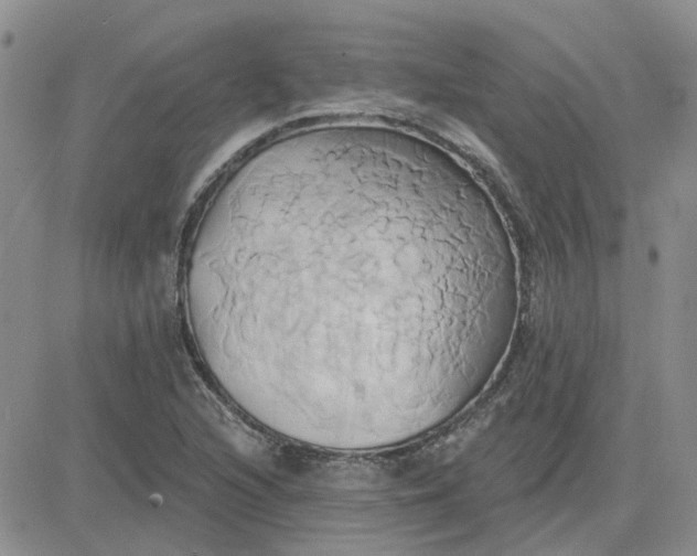 X0000081301216200701251709