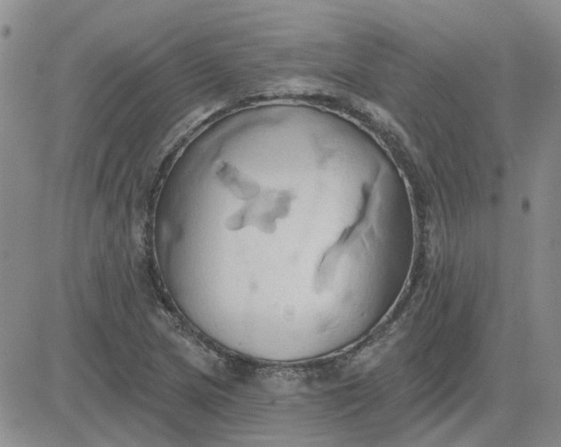 X0000081301217200701251709