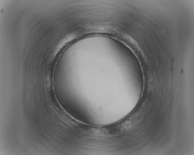 X0000081301218200701251709