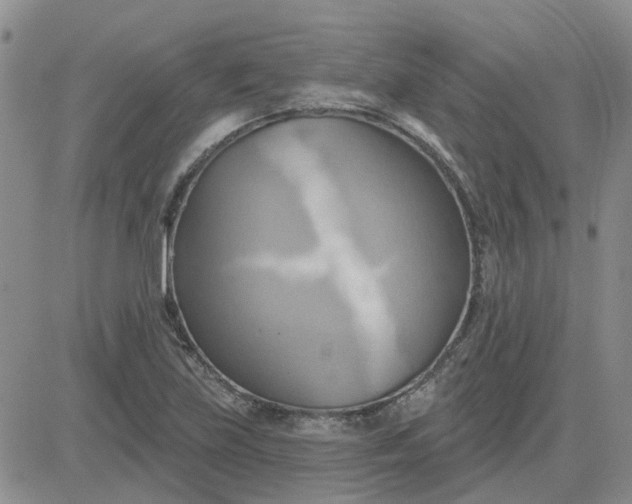 X0000081301219200701251709