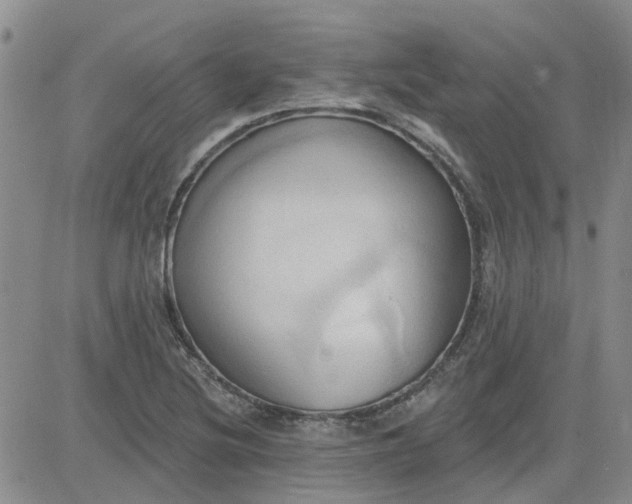 X0000081301220200701251709